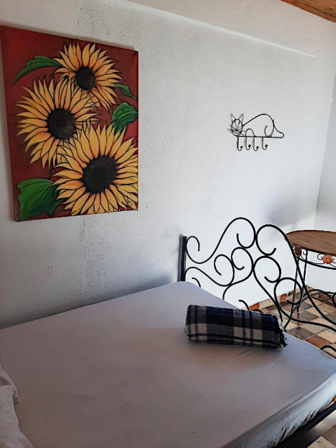 Hospedaria E Hostel Da Deia Ouro Preto  Ngoại thất bức ảnh